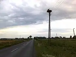 Droga w okolicy Wielichowa