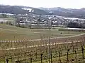 widok na Bollschweil ze stoku Steinbergu w kierunku południowo-zachodnim