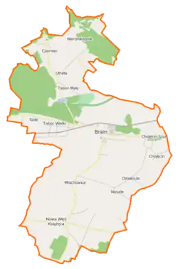 Mapa konturowa gminy Bralin, blisko centrum na lewo znajduje się punkt z opisem „Tabor Wielki”