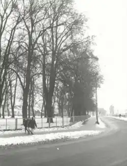 Stare skrz. Sikorskiego-Stefczyka ok.&nbsp;1993