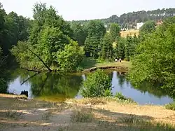 Opławiec z osiedla Piaski