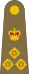 Brigadier British Army