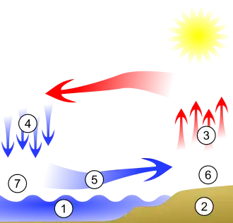 Bryza dzienna: 1 – chłodna woda, 2 – ciepły ląd, 3 – ciepłe powietrze, 4 – chłodne powietrze, 5 – wilgotne, chłodne powietrze, 6 – niż, 7 – wyż