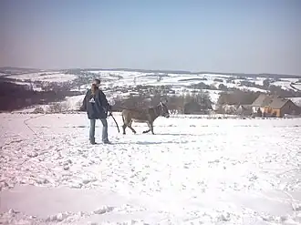 Widok od strony przysiółka Kiebło