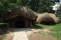 Domy (ziemianki) z Drăghiceni