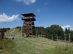 Wieża widokowa pod Bukoviną
