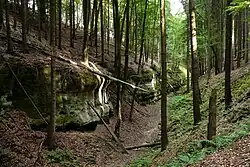 Wąwozy Bukovské ochozy pod Orlím