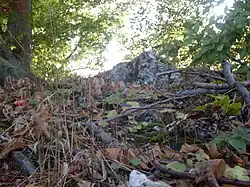 Skała na Bukowej Górze