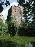 Ruiny zamku Bergfried
