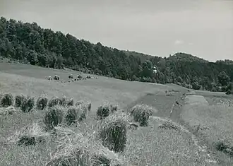 Żniwa, w tle kopuła cerkwi