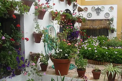 Święto dziedzińców w 2011 roku