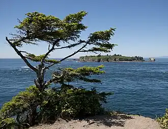 Widok z przylądka w kierunku wyspy Tatoosh