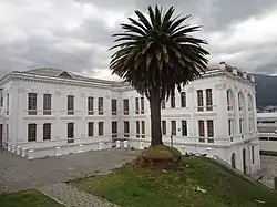 Biały budynek przed którym rośnie palma.