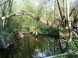 Cetynia, Wały Jaćwingowskie