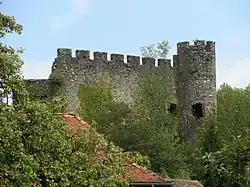 Ruiny zamku Rochette (2011)