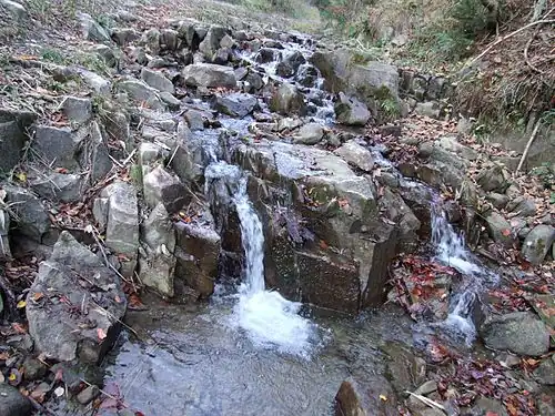 Chłapkowy Potok przy Chłapkowej Polanie
