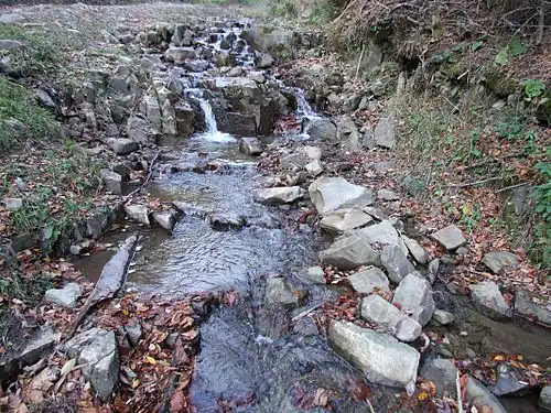 Chłapkowy Potok przy Chłapkowej Polanie