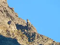 Chłopek na Przełęczy pod Chłopkiem