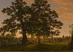 Frederic Edwin Church, Charter Oak, ok. 1846