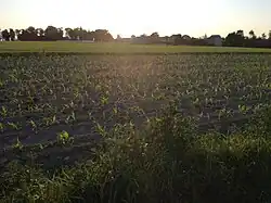 Widok wsi od wschodu