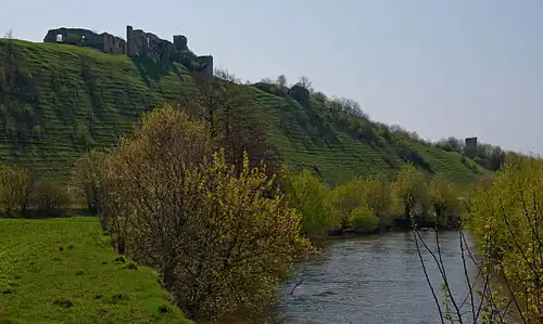 Zamek biskupów kamienieckich w Czarnokozińcach