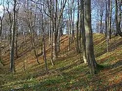 Wierzchołek, widok ogólny