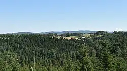 Widok na pasmo Brzanki