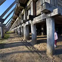 Fragment Tężni nr I