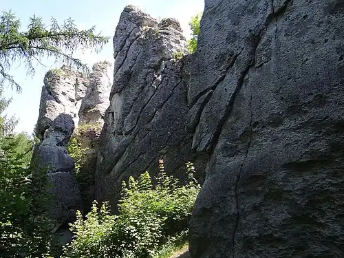 Demon, Wielbłąd i Mała Cima