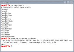 Komenda "clear" używana na GNU/Linux w terminalu uxterm