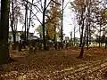 Widok na starą część cmentarza