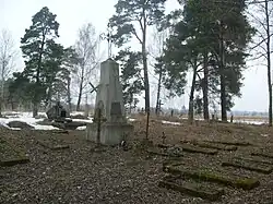 Stary, nieczynny od kilkudziesięciu lat cmentarz prawosławny