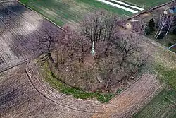 Widok cmentarza z lotu ptaka