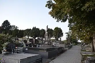 Cmentarz na Górce Gołonoskiej w Dąbrowie Górniczej.