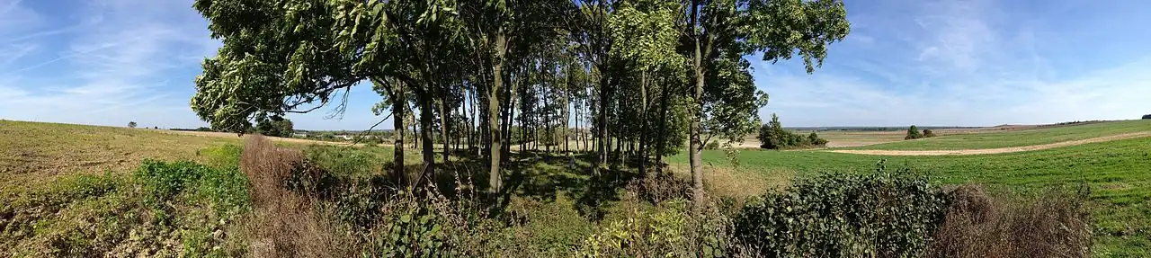 Cmentarz prawosławny w Pniównie