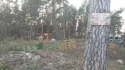 Cmentarzysko słowiańskie