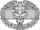 Combat Medical Badge