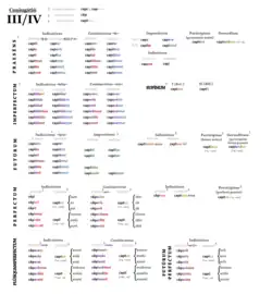 Koniugacja III z zakończeniem na –io