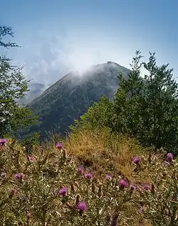 Plan Park Narodowy Pollino