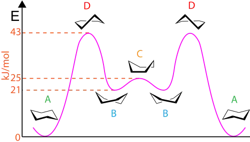 Konformacje pierścienia cykloheksanu w zależności od energii (oś pionowa), A – krzesło, B – skręcona łódka, C – łódka, D – pół-krzesło
