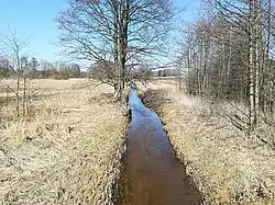 Rzeka Czarna przepływająca obok Miniewicz