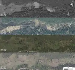 Spontaniczna renaturyzacja środkowej Czartosowej widoczna na ortofotomapach z lat 1977-2022.