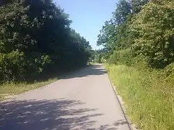 Droga z Czerc do Lasu „Głażyna”