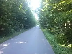 Droga w Lesie „Głażyna” do DW 870 i Leżachowa