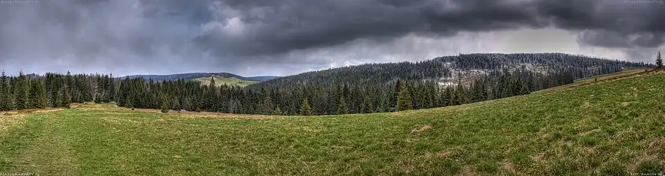Panorama z Czoła Turbacza