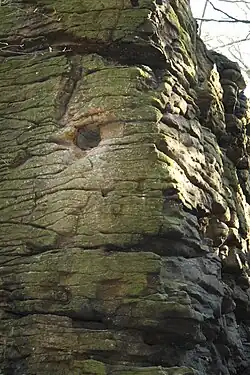 „Okno Diabła” lub „otwór na pytania”.