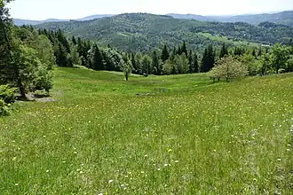 Widok na Czupel z Kamiennego
