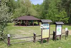 Początek ścieżki w Kolonii Łomnica