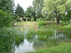 Wywierzyska w Strzemieszycach