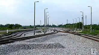 Dęba Rozalin po modernizacji (2013)